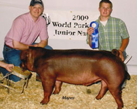 Winners