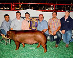 Winners