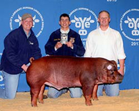 Winners