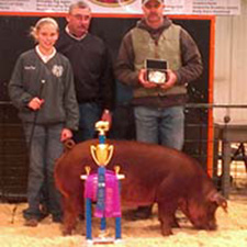 Winners