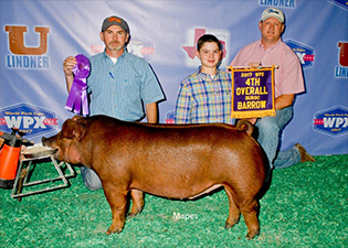 Winners
