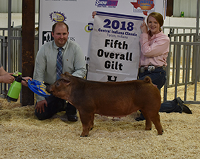 Beyers Farms Winners