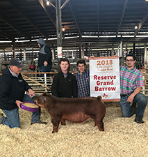 Beyers Farms Winners