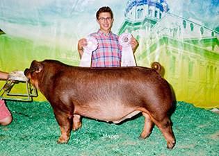 Beyers Farms Winners