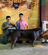 Beyers Farms Winners