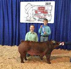 Beyers Farms Winners