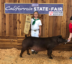 Beyers Farms Winners