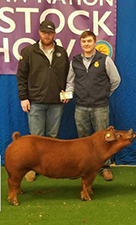 Beyers Farms Winners