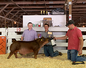 Beyers Farms Winners