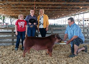 Beyers Farms Winners