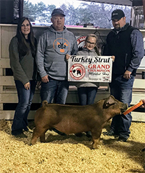 Beyers Farms Winners