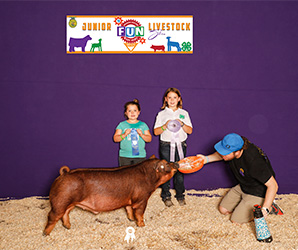 Beyers Farms Winners