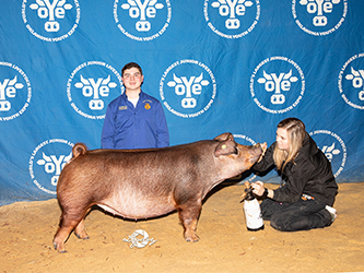 Beyers Farms Winners