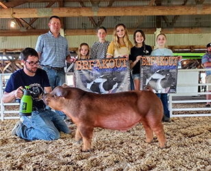 Beyers Farms Winners