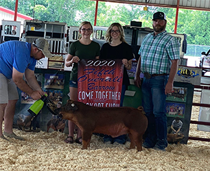 Beyers Farms Winners