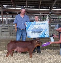Beyers Farms Winners