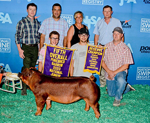 Beyers Farms Winners