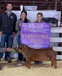 Beyers Farms Winners
