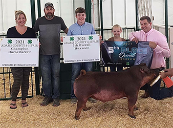 Beyers Farms Winners