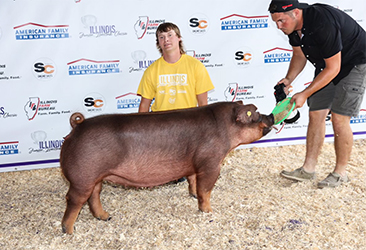 Beyers Farms Winners