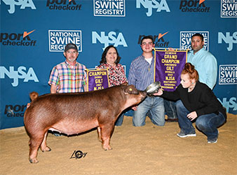 Beyers Farms Winners