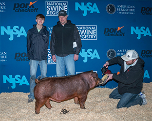 Beyers Farms Winners