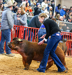 Beyers Farms Winners