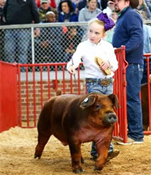 Beyers Farms Winners