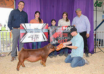 Beyers Winners