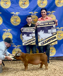 Grand Overall Purebred Gilt
2025 Deck The Hogs, FL