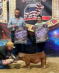 Champion Duroc & Third Overall Gilt
2025 Southbound & Down Swine Show
