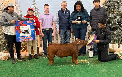 Champion Duroc
2025 Greyhound Showdown, TX