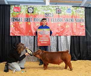 Champion Duroc & Third Overall Barrow
2025 Jingle Bell Rockout Classic, TN