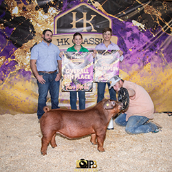 Reserve Duroc & Fifth Overall Market Hog
2025 HK Classic, FL