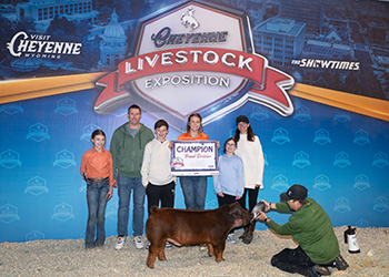 Champion Duroc Barrow
2025 Cheyenne Livestock Exposition