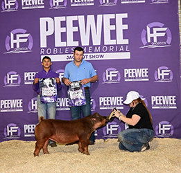 Champion Duroc
2025 Peewee Robles Memorial Jackpot Show