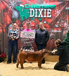 Grand Overall Purebred Barrow
2025 Christmas In Dixie, MS