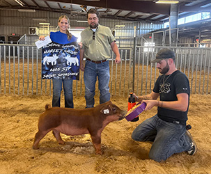 Champion Duroc & Reserve Grand Overall
2025 STP Swine Showdown Ring B
