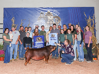 Champion Duroc & Fifth Overall Gilt
2025 American Royal
